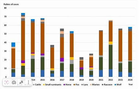 «Бешенство животных в Нижегородской области РФ (2012–2024): описательный и прогнозный эпидемиологический анализ»