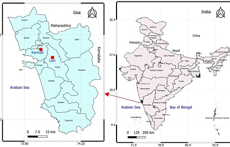 Первое уведомление о выявлении острой формы африканской чумы свиней на свиноводческих предприятиях западного побережья Индии: результаты патологоанатомических и молекулярных исследований