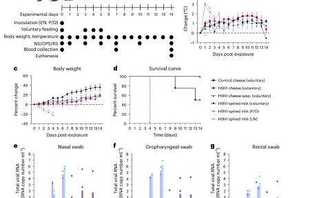 Стабильность вируса гриппа H5N1 и риск его передачи через сырое молоко и сыр