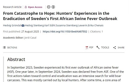 От катастрофы к надежде: опыт охотников в борьбе с первой в Швеции вспышкой африканской чумы свиней