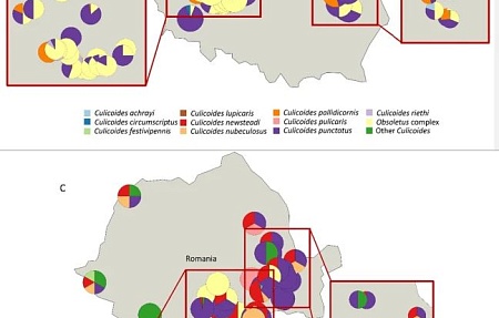 Исследование роли мух рода Stomoxys (Stomoxys calcitrans) и кровососущих мошек рода Culicoides в качестве потенциальных механических переносчиков вируса африканской чумы свиней (АЧС) в Литве, Польше и Румынии
