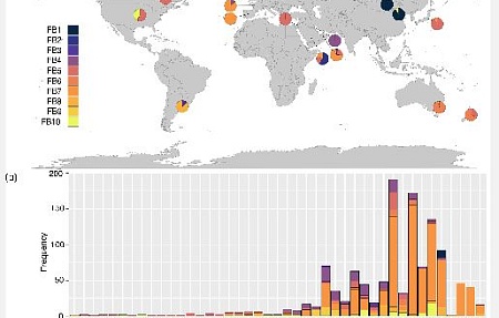 Прогрессивная эволюция Streptococcus equi от Streptococcus equi подвид zooepidemicus и адаптация к хозяевам-лошадям