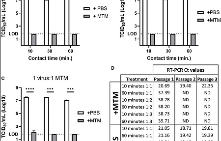 Безопасная и эффективная транспортировка клинических образцов для молекулярного выявления вируса АЧС