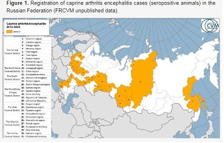 Isolation and Identification of Caprine Arthritis Encephalitis Virus from Animals in the Republic of Mordovia