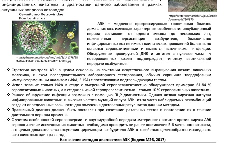 Артрит-энцефалит коз: актуальные вопросы ранней диагностики