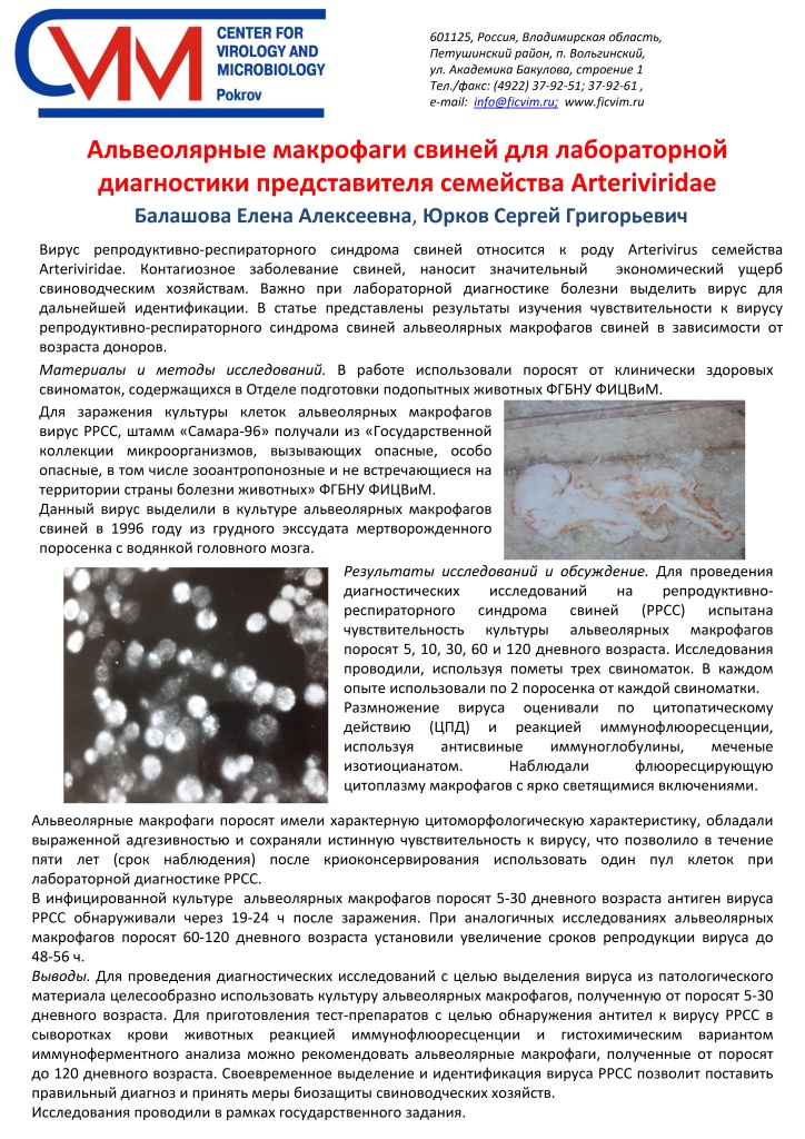 Постер Альвеолярные макрофаги свиней для лабораторной диагностики представителя семейства Arteriviridae_page-0001.jpg