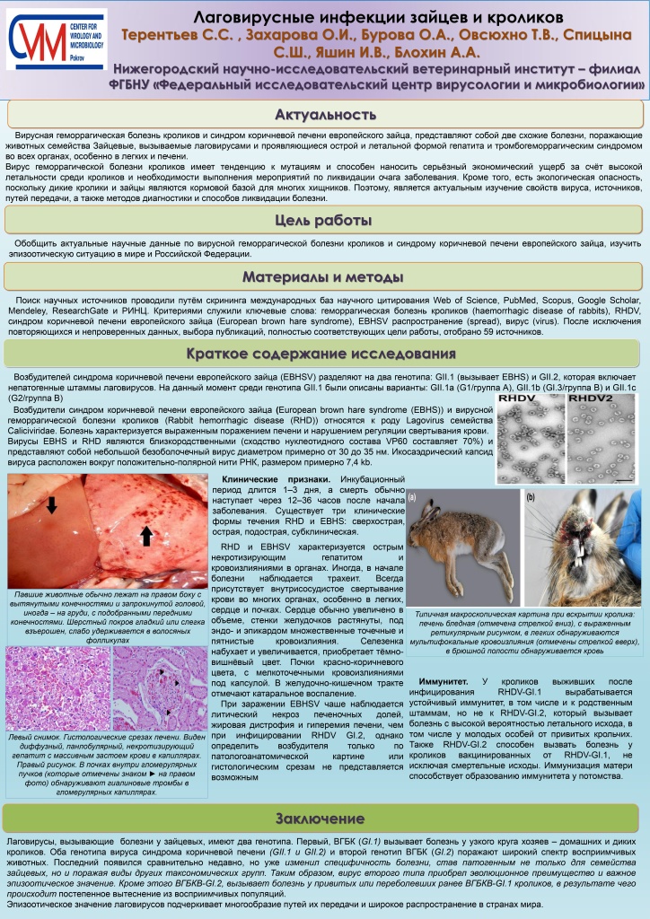 ПОСТЕР Лаговирусные инфекции зайцев и кроликов_page-0001.jpg