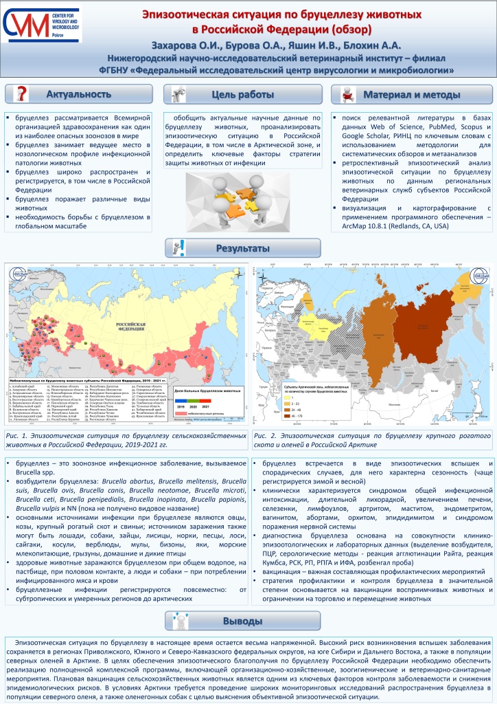 ПОСТЕР Эпизоотическая ситуация по бруцеллезу животных в Российской Федерации (обзор)_page-0001.jpg