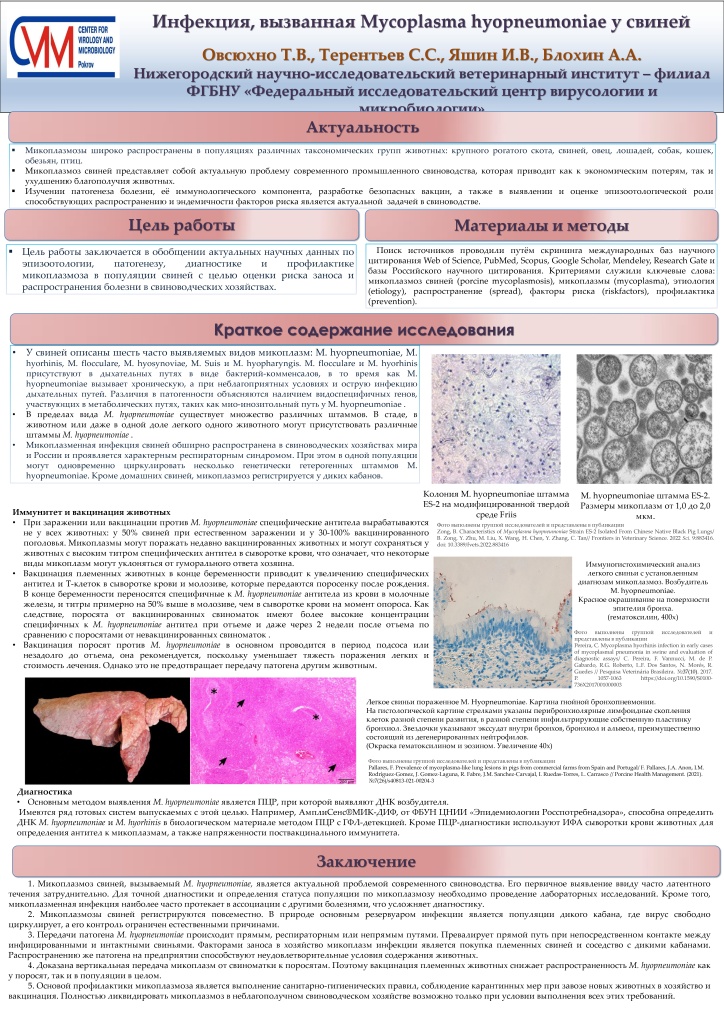 ПОСТЕР Инфекция, вызванная Mycoplasma hyopneumoniae у свиней_page-0001.jpg
