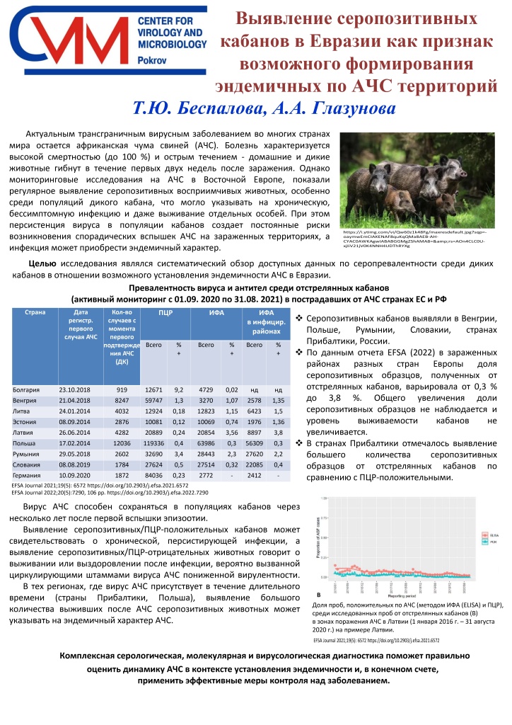 Постер Выявление серопозитивных кабанов в Евразии как признак возможного формирования эндемичных по АЧС территорий_page-0001.jpg