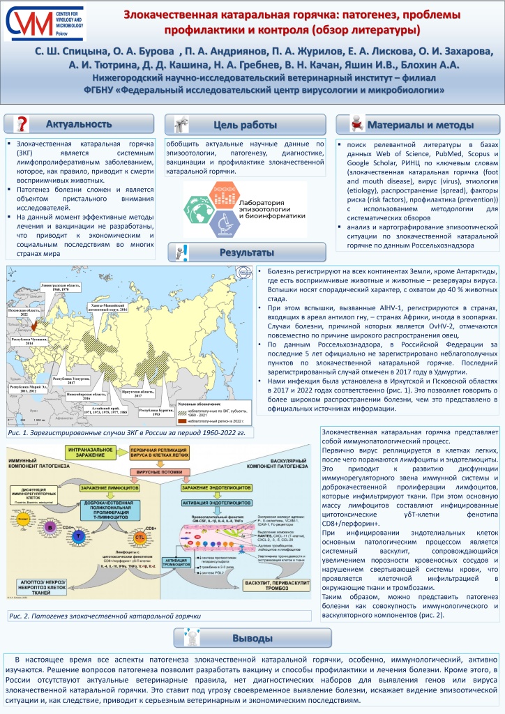 ПОСТЕР Злокачественная катаральная горячка патогенез проблемы профилактики и контроля (обзор литературы)_page-0001.jpg
