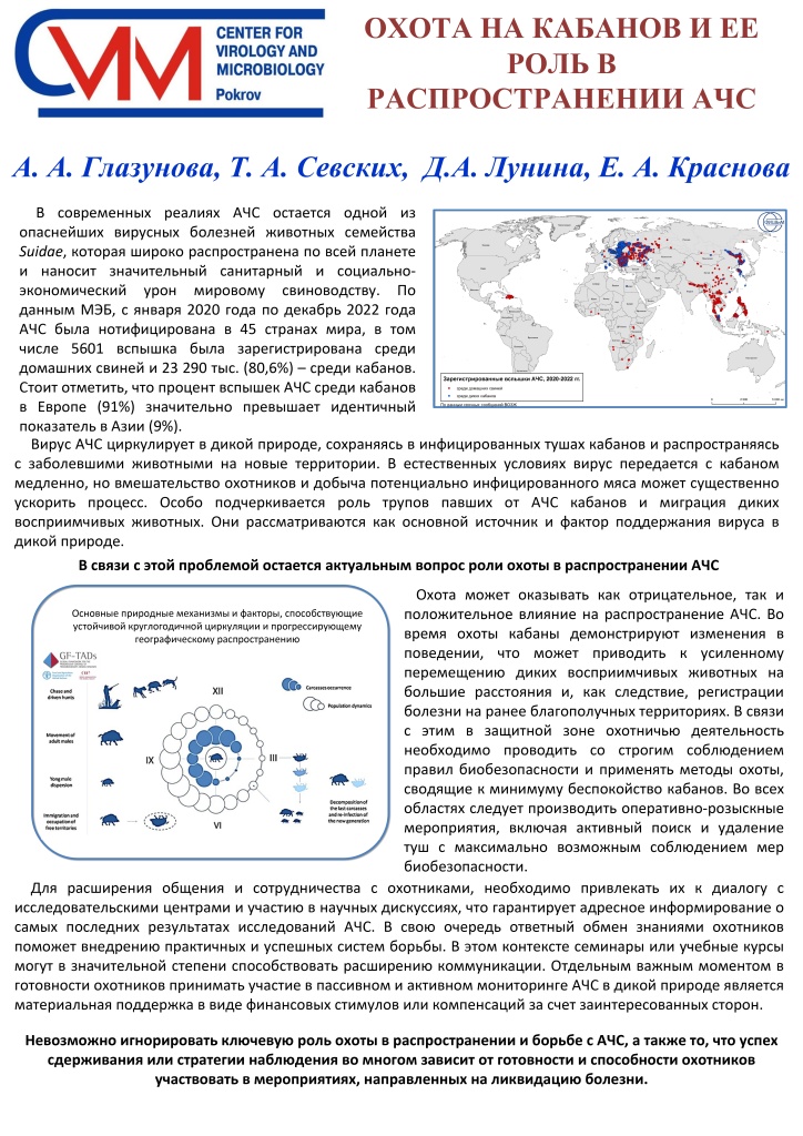 Постер ОХОТА НА КАБАНОВ И ЕЕ РОЛЬ В РАСПРОСТРАНЕНИИ АЧС_page-0001.jpg