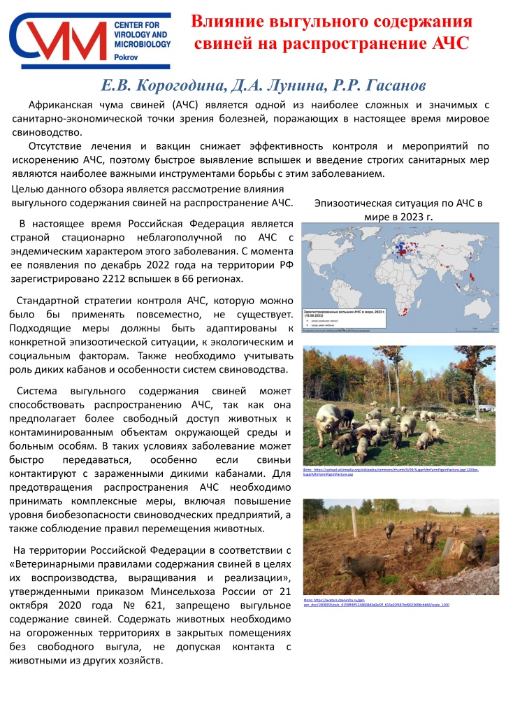 Постер Влияние выгульного содержания свиней на распространение АЧС_page-0001.jpg
