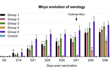 Сравнительная безопасность и эффективность коммерческих вакцин для свиней против Mycoplasma hyopneumoniae и цирковируса свиней 2-го типа (ЦВС2)