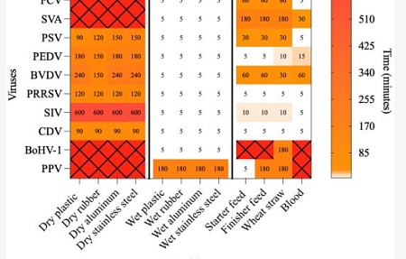 Исследование влияния факторов окружающей среды, типа поверхности и органических матриц на термическую инактивацию вирусов, имеющих ветеринарное значение