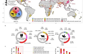 Картографирование глобальных рисков гриппа птиц на основе энтропии активности водоплавающих птиц