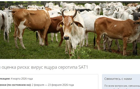 Быстрая оценка риска: вирус ящура серотипа SAT1