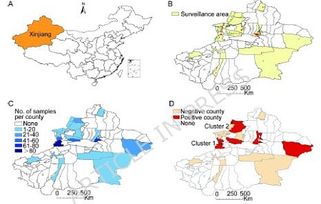 Серологическое исследование на туберкулез у диких кабанов в Синьцзяне, северо-западный Китай: пилотное исследование